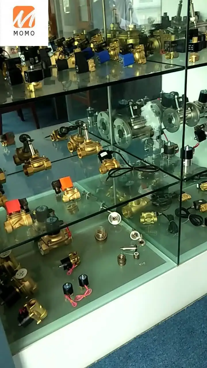 

Pneumatic Fittings 2w040-10 2w31 2WB Electromagnetic Household Kitchen Solenoid Valve