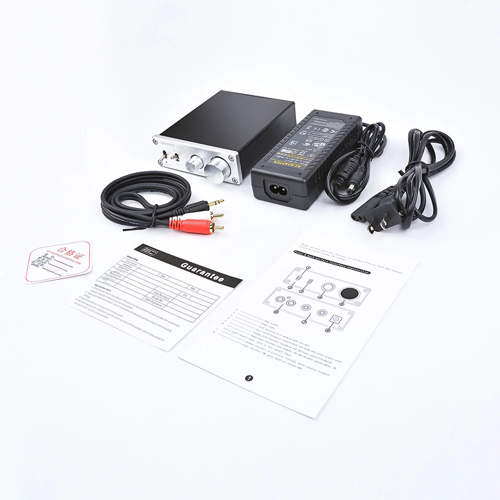 Silver US Plug AIYIMA TPA3116D2 сабвуферный усилитель класса D HiFi моно цифровой усилитель высокой мощности аудио усилитель 100 Вт домашний кинотеатр DC12-24V - Цвет: Silver US Plug