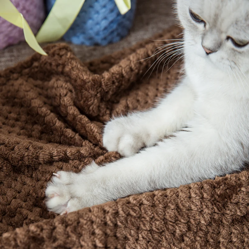 Hipidog дропшиппинг дышащее супер мягкое Флисовое одеяло для кошек и собак домашних