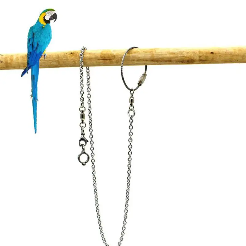 

1 Pc Bird Foot Ring Set Creative Parrot Foot Anklet Stainless Steel Silver Foot Chain For Parrots Training Flying Birds Supplies