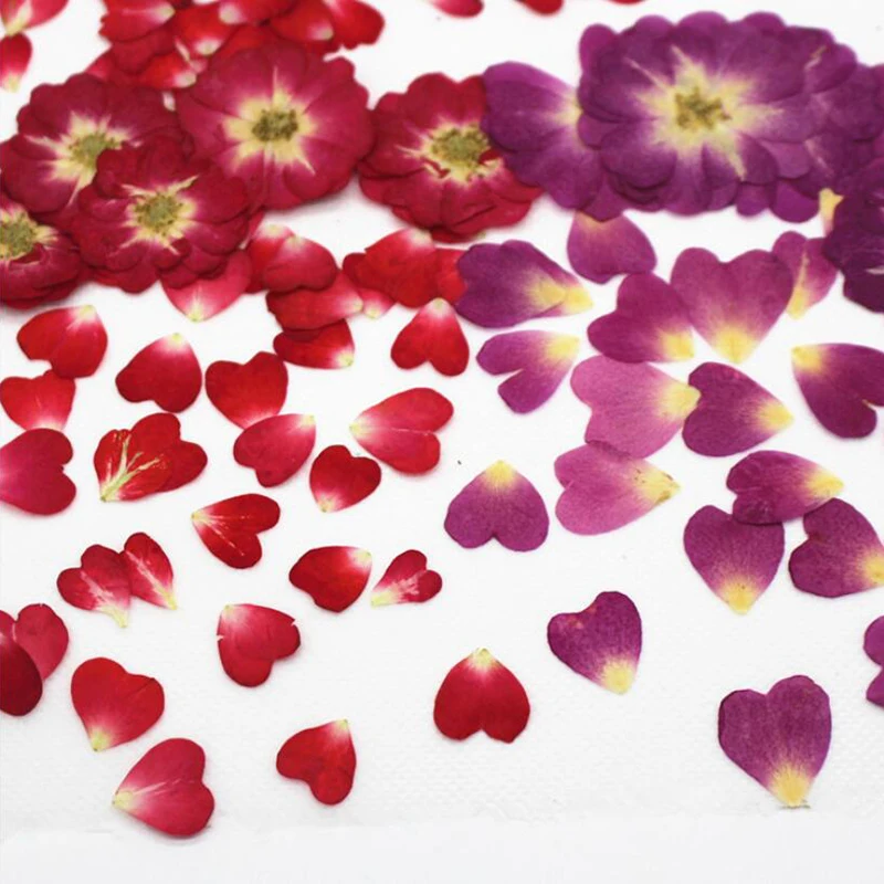 2020 12Pieces Pressed Real Dried Flower Half Cut Rose for DIY Home Ornament Resin Casting Making Christmas Card Decoration - купить по