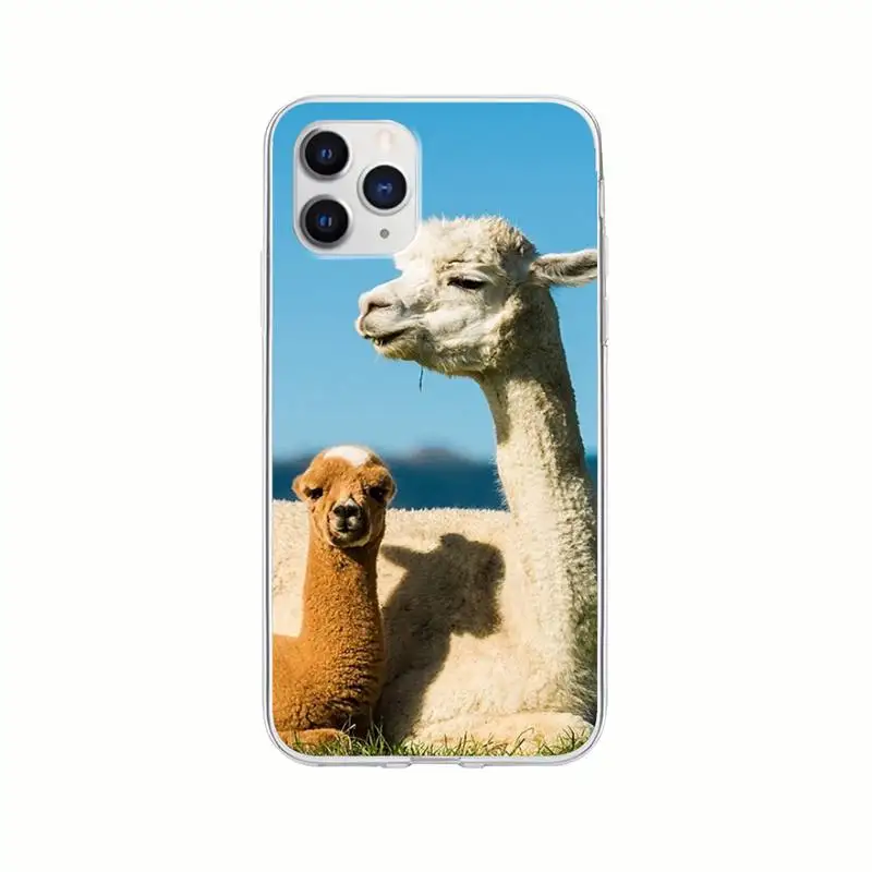 

Trendy Alpaca Pet Transparent Cell Phone Cover Clear Case For Honor 8X 10i 20i 20 Lite