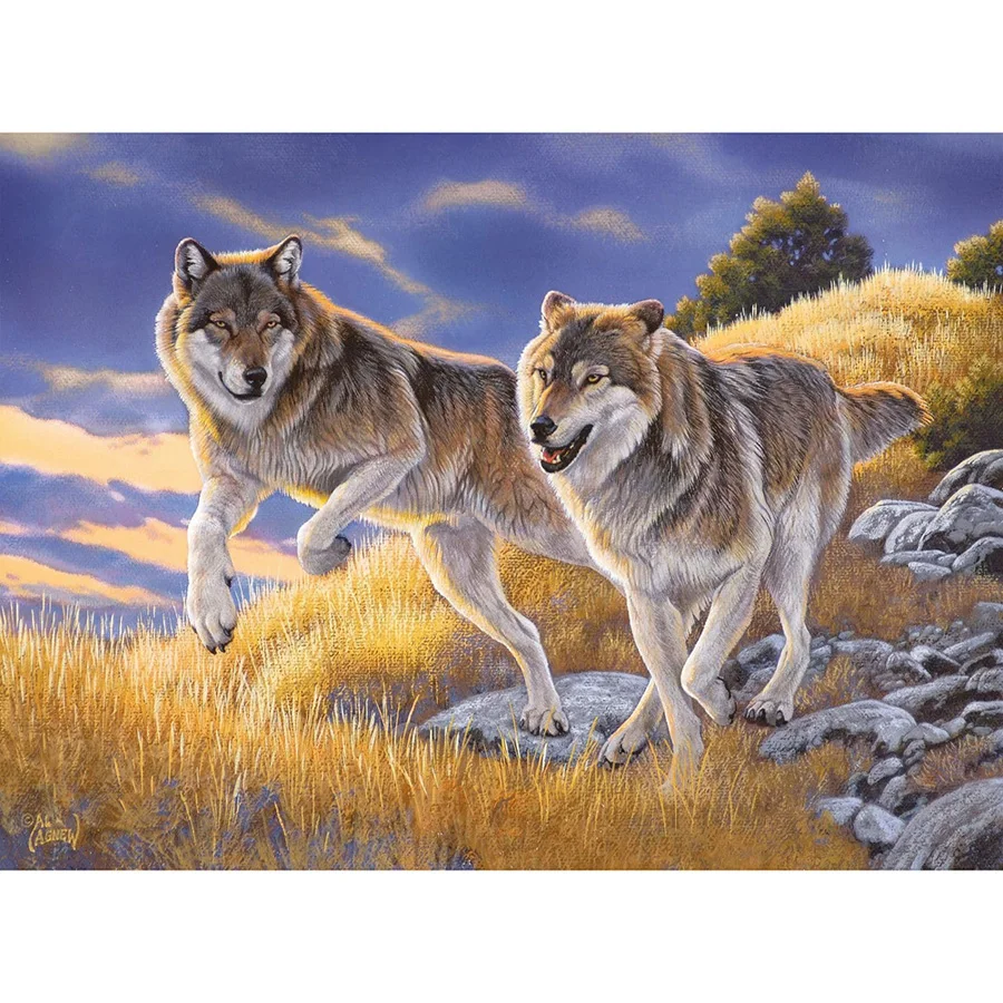 

Two wolves autumn 5D diy diamond painting Full Square Round Drill mosaic embroidery sale needlework home decoration AA2820