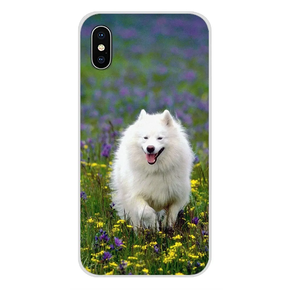 Белый самоед собака прекрасный прозрачный чехол из термополиуретана с Чехлы для