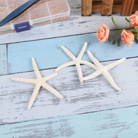 7 10cm natural sea star beach craft epoxy resin filling starfish seashell for diy home decoration silicone jewelry making tools
