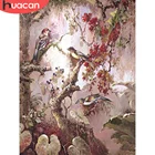 HUACAN 5D Сделай Сам Алмазная картина птица Стразы картины Алмазная вышивка животное вышивка крестом Мозаика Искусство украшение дома