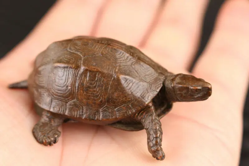 

Rare Chinese Old Bronze Hand Casting Tortoise Tea Pot Statue Figure Collectable