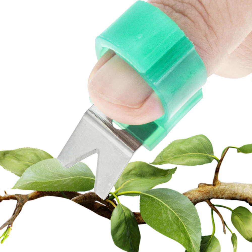 1 шт. кольцевой срезной предохранитель собирая овощи и фрукты сбор винограда