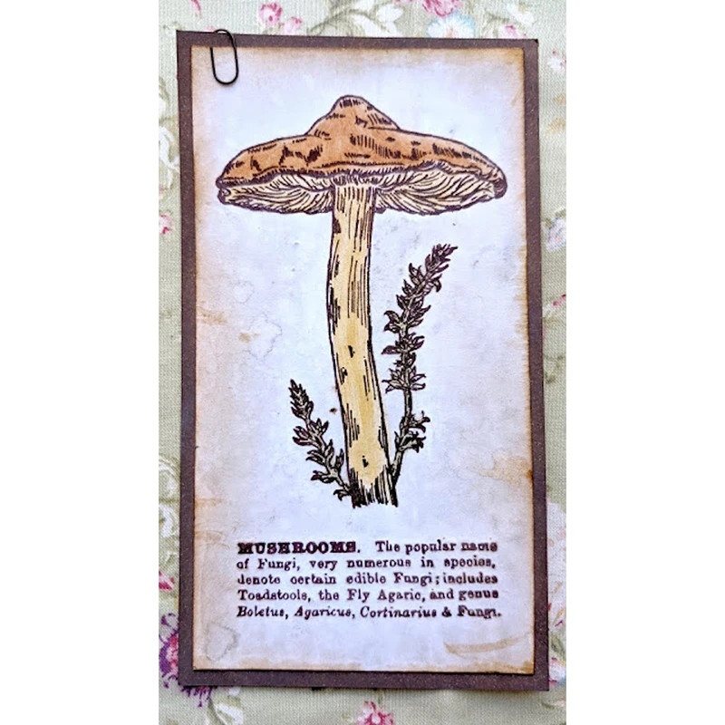 Новинка 2021 прозрачный штамп в стиле ретро с изображением растений и грибов для