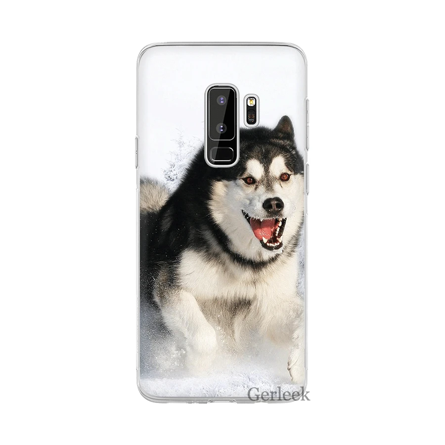 Чехол для телефона из ТПУ Samsung A5 A6 A7 A8 A9 A10 A20 A30 A40 A50 A60 A70 чехол с изображением кошки