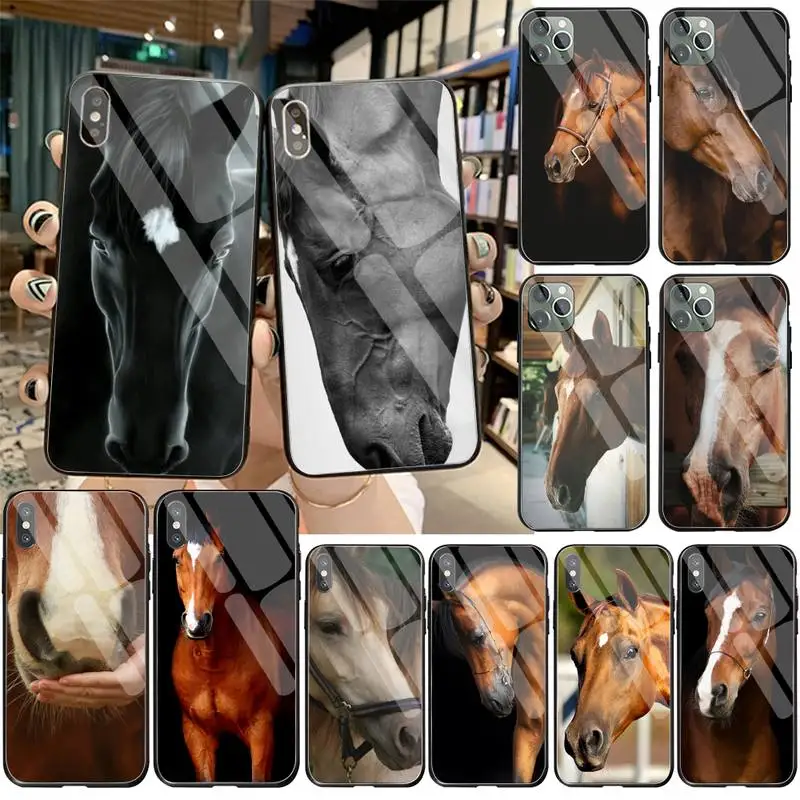 yjzfdyrm horse face silicone black phone case tempered glass for iphone 11 pro xr xs max 8 x 7 6s 6 plus se 2020 case free global shipping