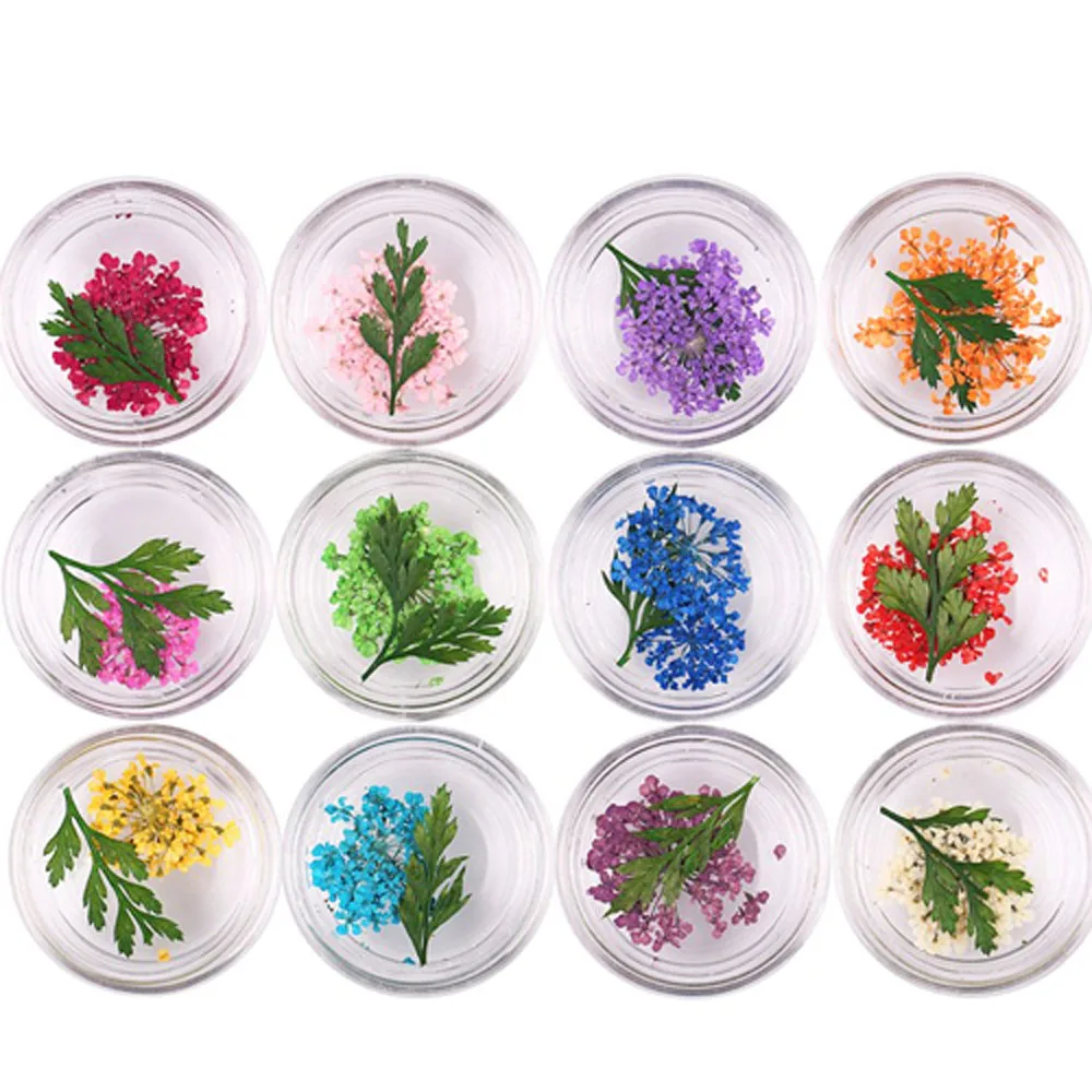 3D засушенные цветы 12 сеток/коробка декоративные элементы для ногтей натуральные