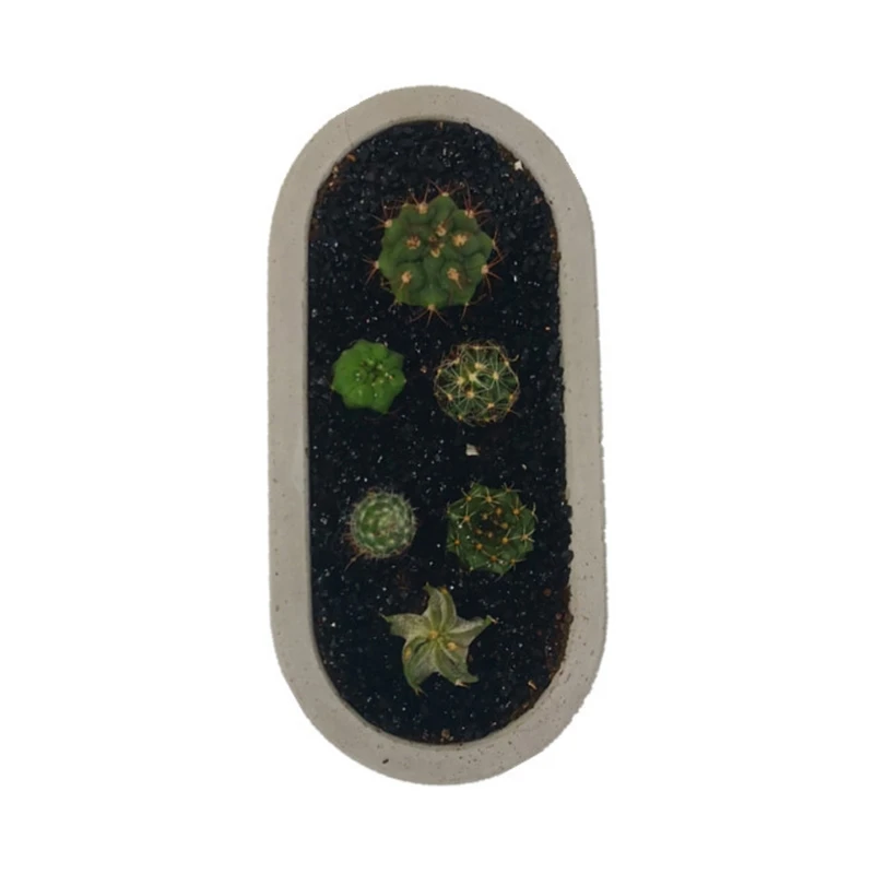 

2Pcs Oval Concrete Flower Pot Tray Silicone Mold Succulent Planter Resin Mold B36D