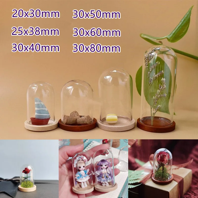 Стеклянная бутылка для террариума Бамбуковая база купольная Пылезащитная