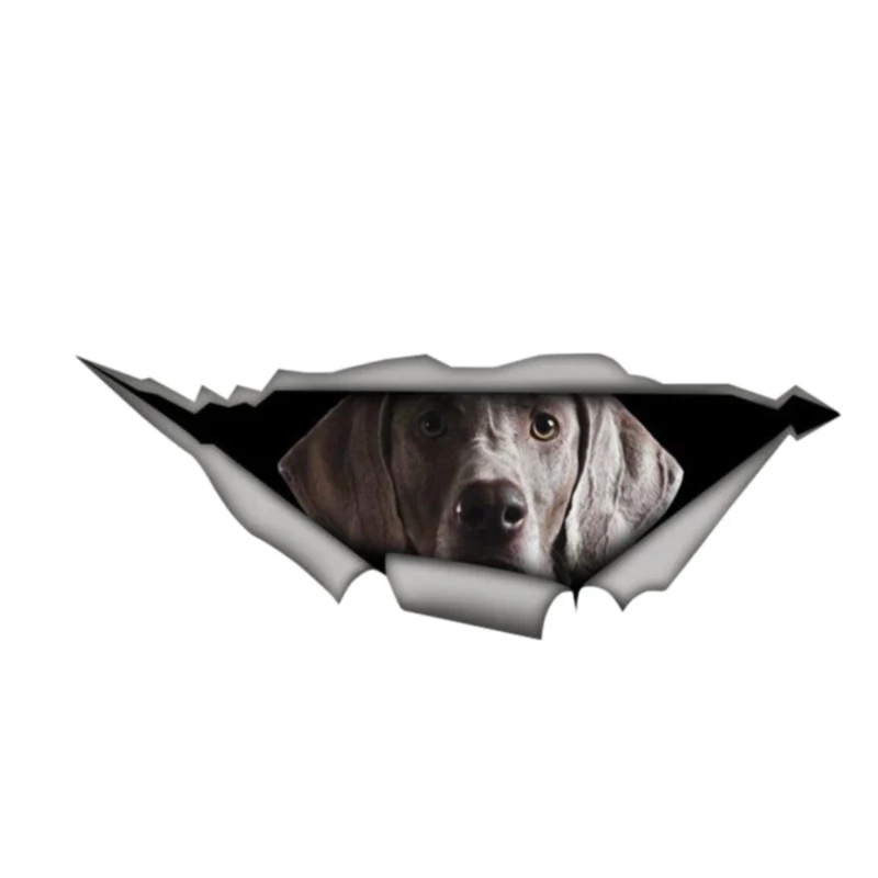

B0746# Self-adhesive Decal Weimaraner Car Sticker Waterproof Auto Decors on Bumper Rear Window Motorcycle Laptop