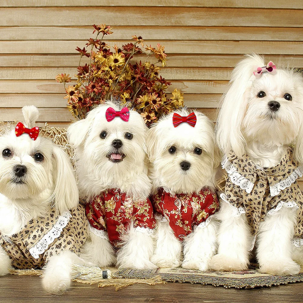 Дешевые аксессуары для украшения кошек и собак | Дом сад