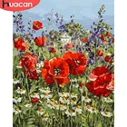HUACAN краска по номеру цветок рисунок на холсте Ручная Краска ed краска ing Art подарок DIY картина по номеру декорации комплекты, украшение для дома