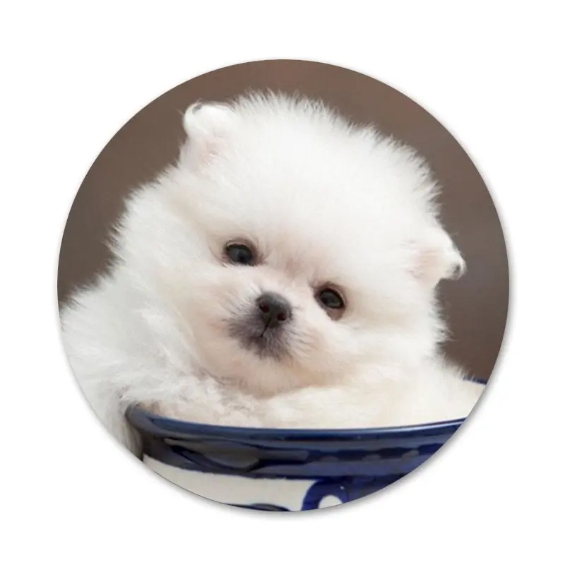 58 мм своего померанского шпица собаки значок на булавке декоративные Броши