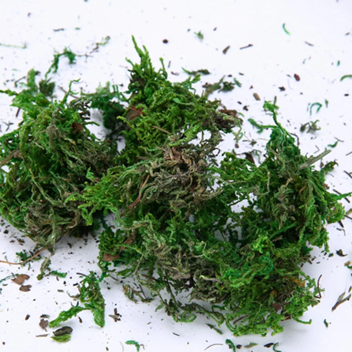 

Decorative materials for ornament and flower arrangement of dry bryophyte turf