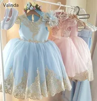 Blue Pink Girl Pageant Dress with Gold Appliques Tea Length Flower Girl Dresses Wedding Formal Occasion Gowns Baby Toddler