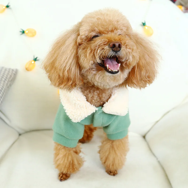 PETCIRCLE одежда для любимца Мишка шпиц одежда осень-зима утепленное шерстяное теплое пальто с отворотом робота