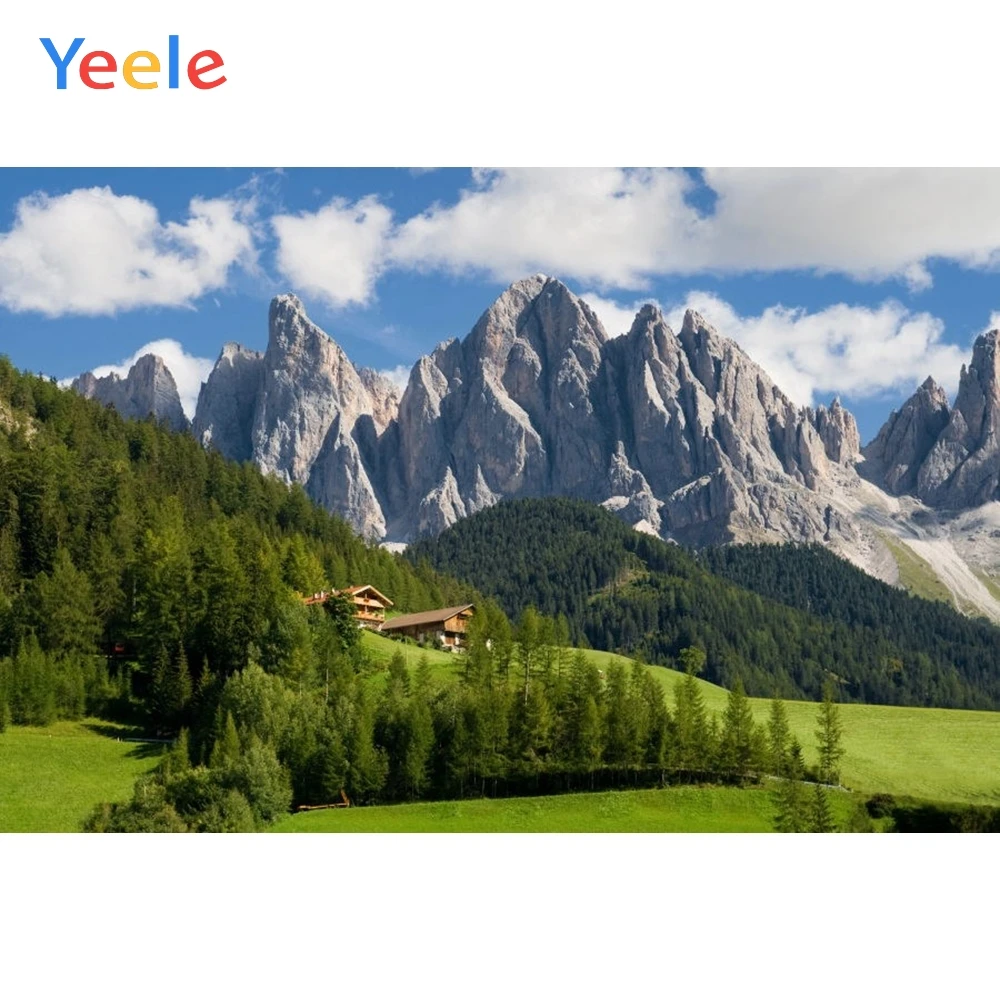 Фон для фотосъемки Yeele с изображением гор и зеленых пейзажей|Фон фотосъёмки| |