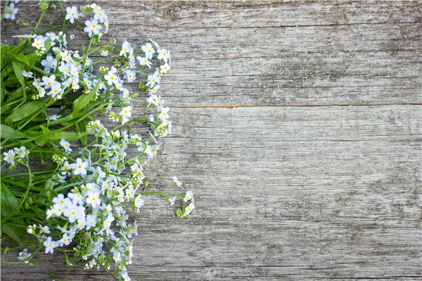 

SHENGYONGBAO Vinyl Custom Photography Backdrops Props Flower and Wood planks theme Photo Studio Background 20027-3167