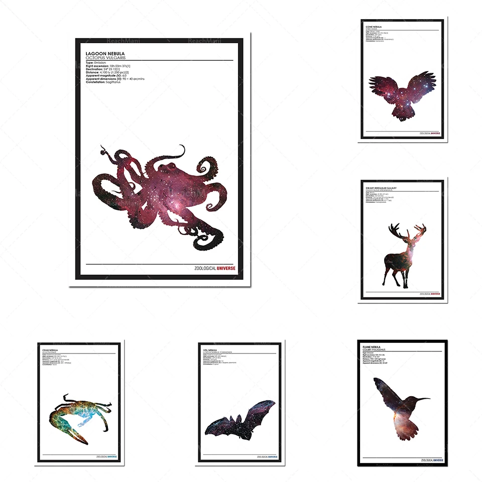 Серия плакатов Зотология Вселенной // Минималистичный принт силуэта животных