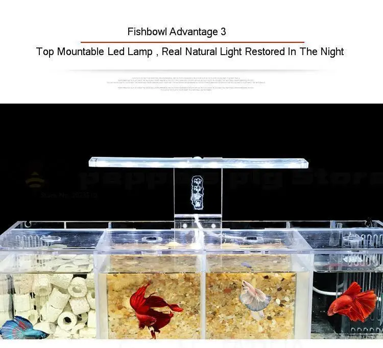 Betta аквариум Гуппи разведение инкубации изолирующая коробка акриловая специальная группа ряд цилиндр живой Рабочий стол экологическое творчество