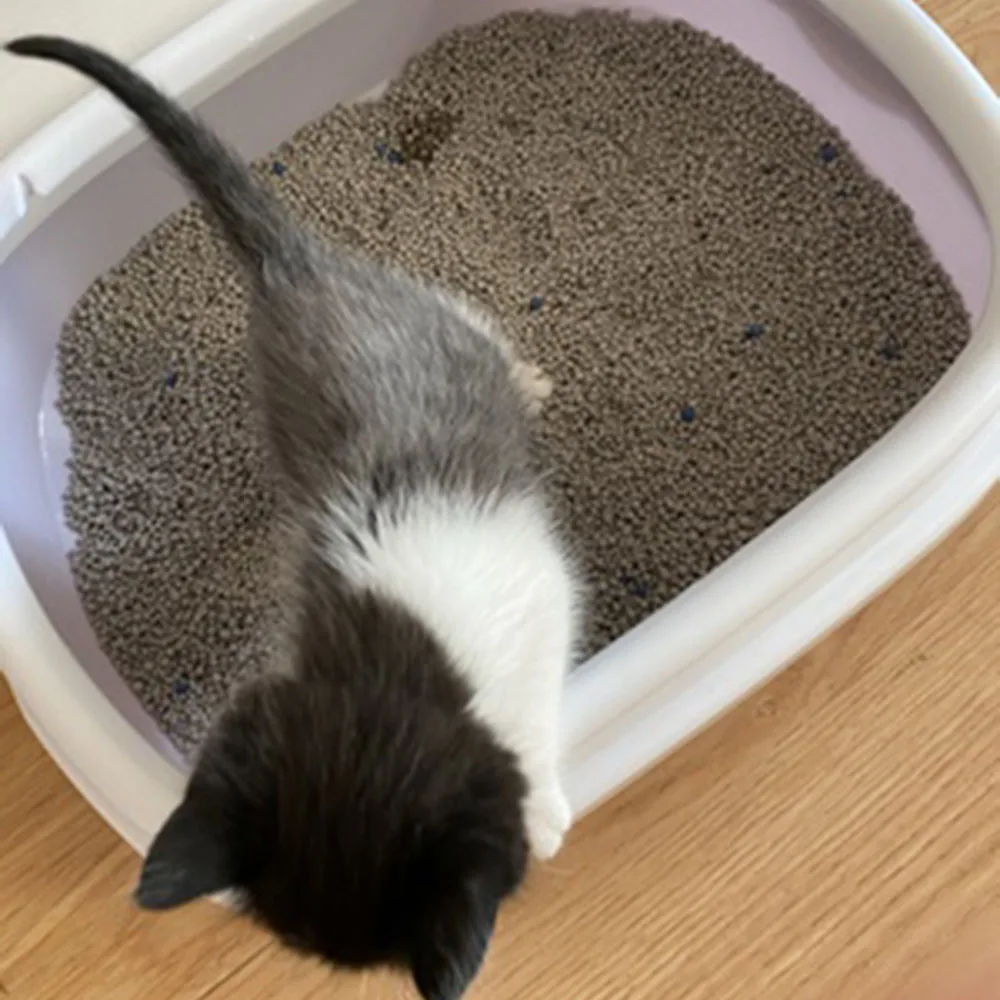 Кота собаки любимчика тренировочный Туалет наполнитель для кошачьего туалета