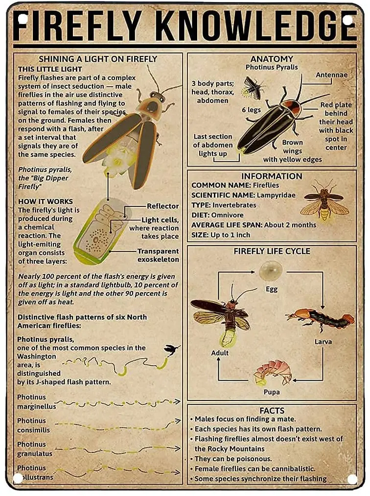 

Metal Tin Sign Go Away Im Reading Home Study Library Room Art Deco Poster Vintage Retro Square Metal Sign 8X12 Inch