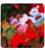

5PCS Christmas Tree decoration ornament diy craft accessory candy bag new year natal home decoration navidad