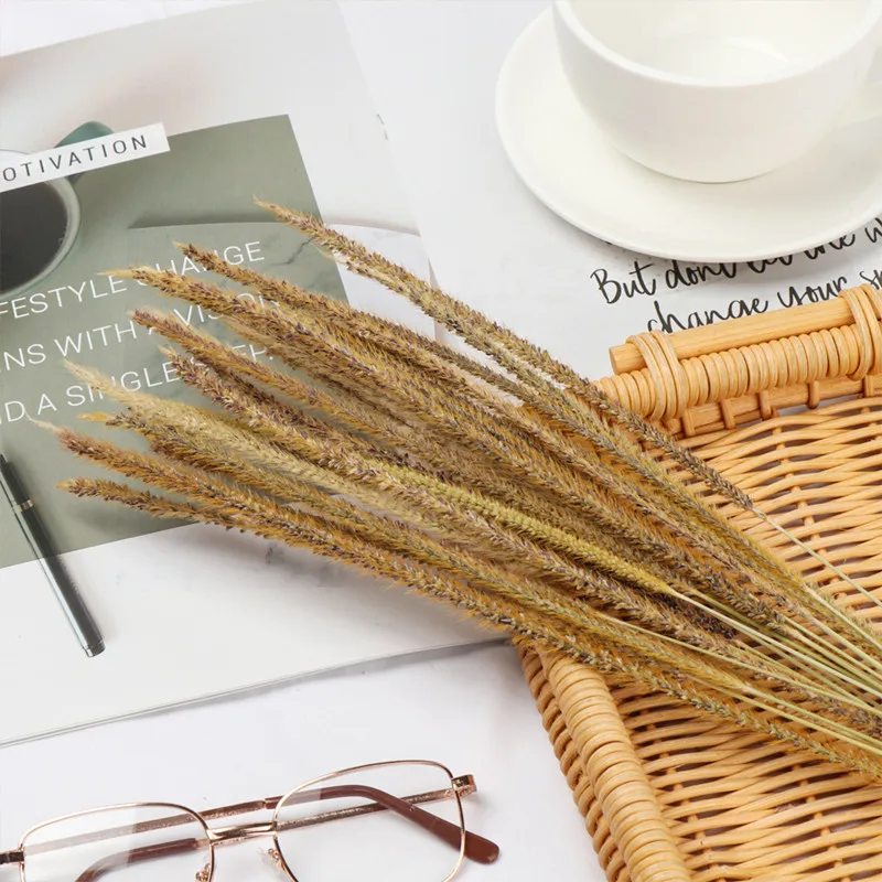 

50pcs Natural Plants Unicorn Grass Dried Flower Bouquet Preserved For Christmas Wedding Home Office Decoration DIY Material