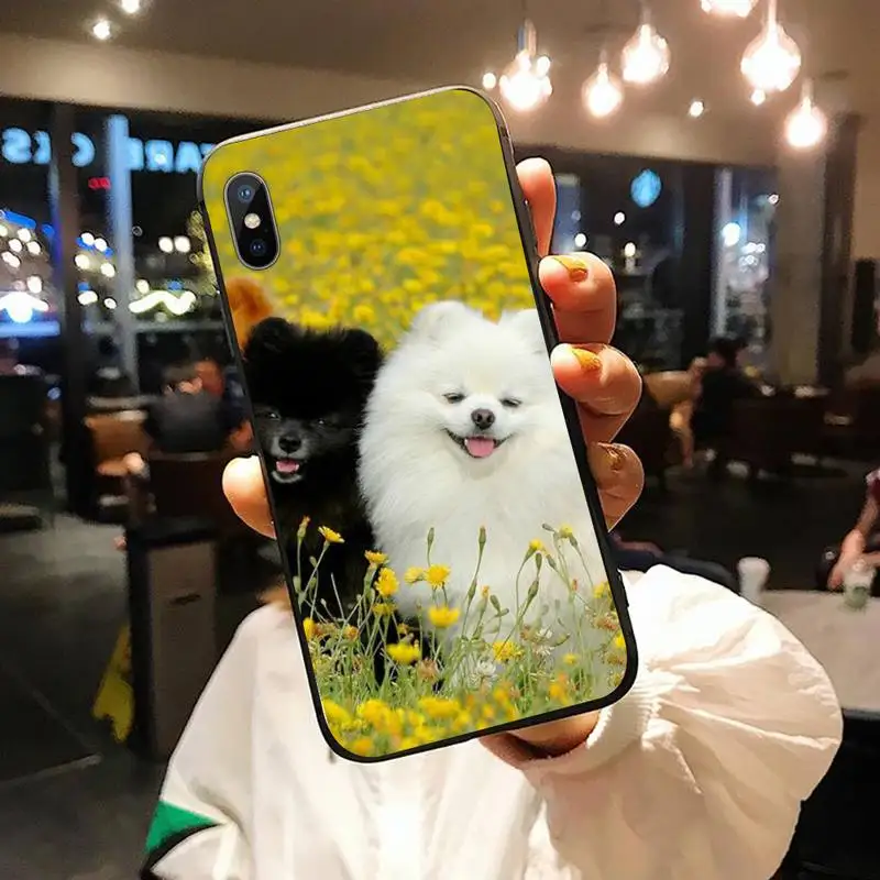 

Pomeranian dogs cute animal Phone Case for iPhone 11 12 mini pro XS MAX 8 7 6 6S Plus X 5S SE 2020 XR luxury cover shell shell