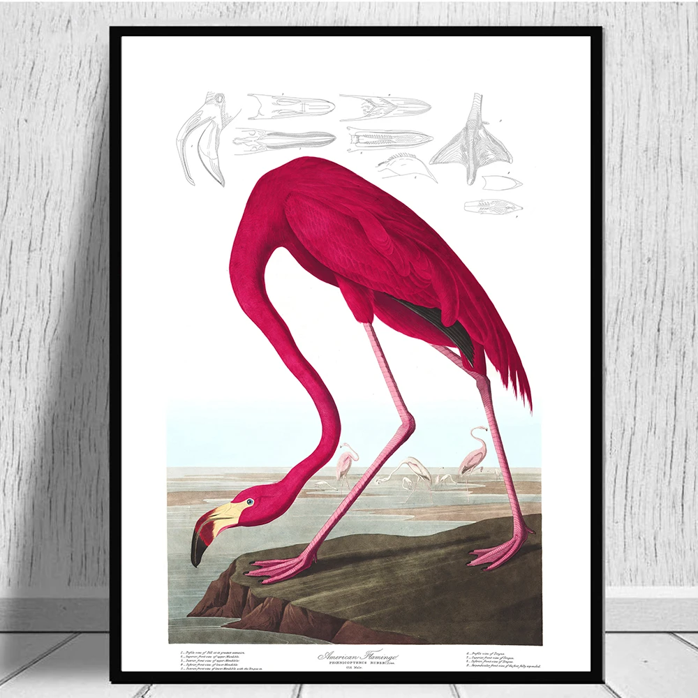 

Vintage Bird Canvas Painting Audubon Bird Posters and Prints Pink Flamingo Snowy Owl Heron Egret Wall Art Pictures Home Decor