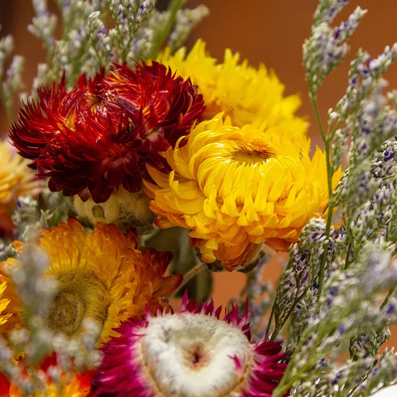 

Colorful Small Daisies Natural Dried Flowers Rustic Outdoor Wedding Decoration Wedding Table Flowers Birthday Gifts Christmas
