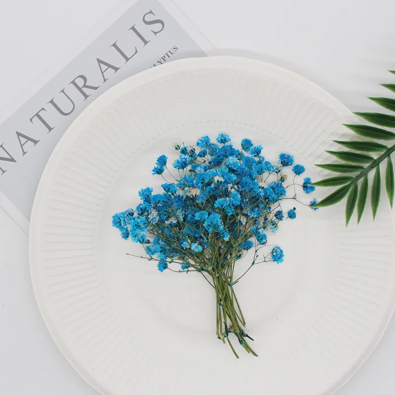 Натуральные сушеные цветы тиснение Botany образец Diy клей ручной оболочки Ароматерапия Свеча фоторамка активность материал наука - Цвет: Big blue