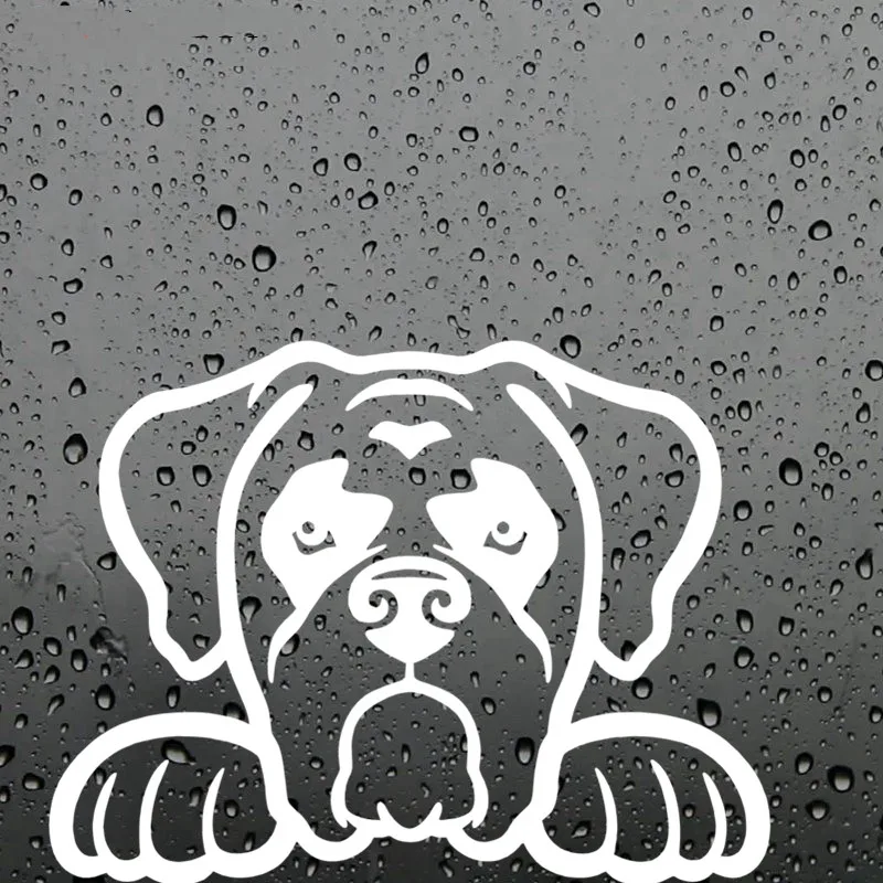 

FD52 BOXER DOG PEEKING Vinyl car Decal Window Sticker