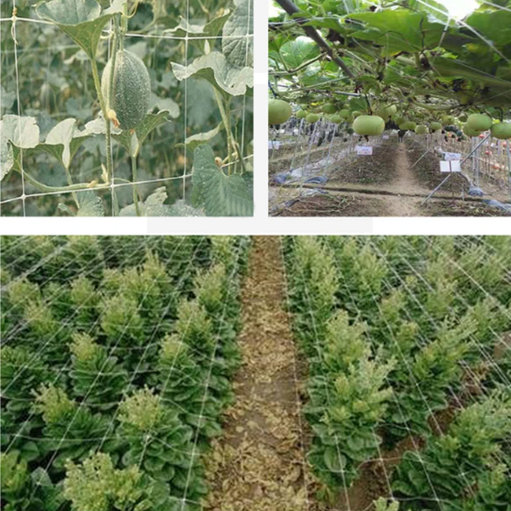 Сетка из полиэстера для растений 5/10/20 м|Опоры и поддержки растений| |