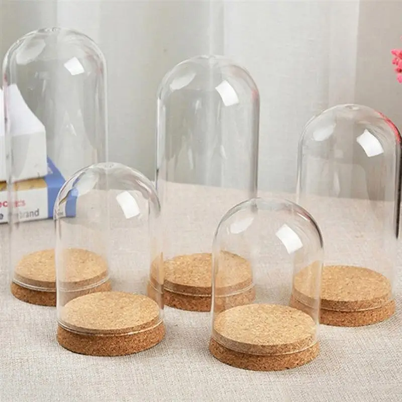 Стеклянная купольная крышка для цветов суккулентов Ландшафтная ваза контейнер