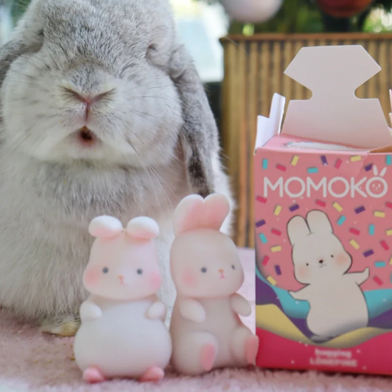 

Mystery Box Guess Bag Caja Ciega Blind Bag Toys for Girls Anime Figures Cute Rabbit Model Birthday Gift Blind Box Toys