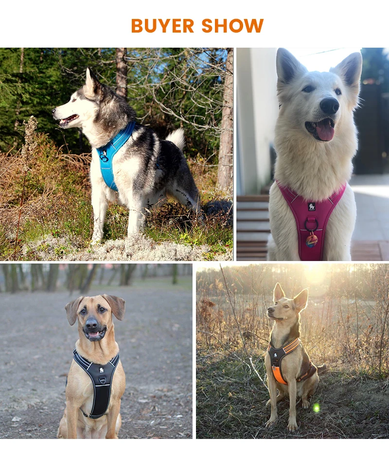 

Truelove Sport Nylon Reflective No Pull Dog Harness Outdoor Adventure Pet Vest with Handle xs to xl 5 colors Vehicle Harnesses