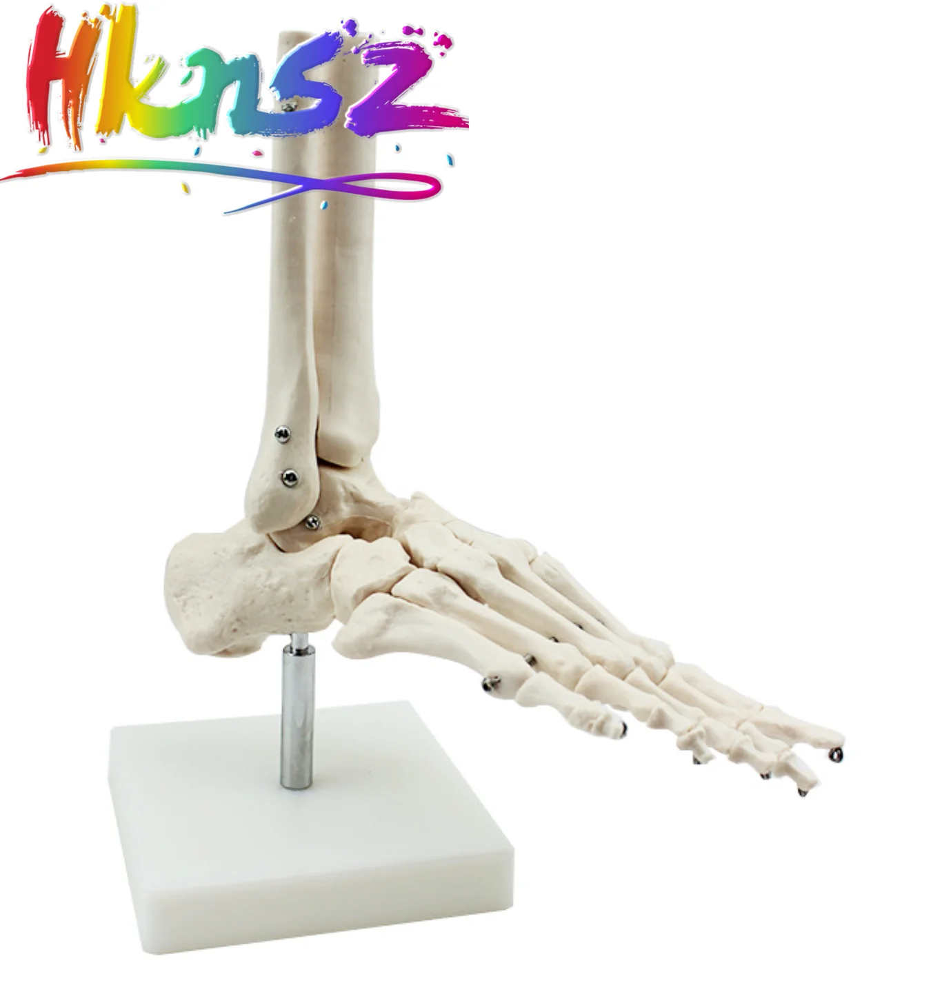 

Educational Equipment & Supplies