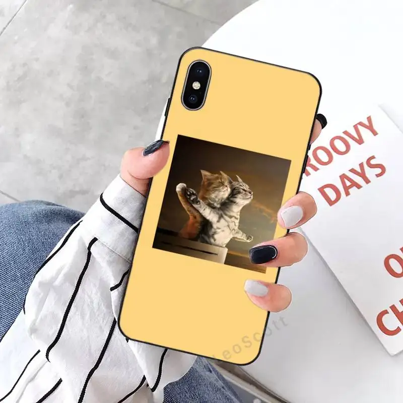 

Aesthetic Cute Animal Cat Phone Cases for iPhone 11 12 mini pro XS MAX 8 7 6 6S Plus X 5S SE 2020 XR