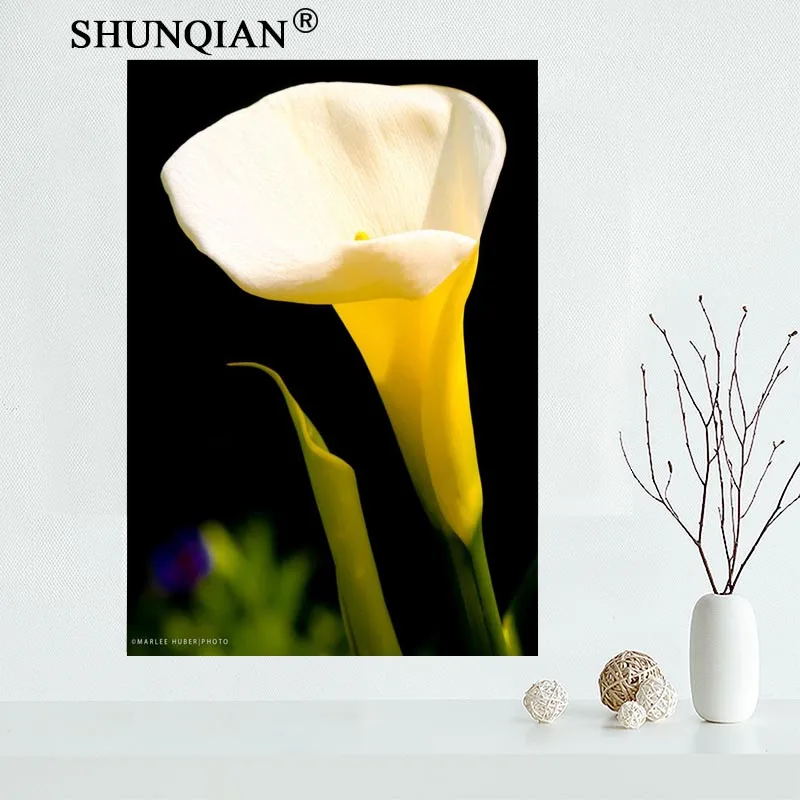 

Custom Canvas Wall Decor Calla lily Colorful Poster Cloth Wall Silk Fabric Posters And prints Home Decor Painting