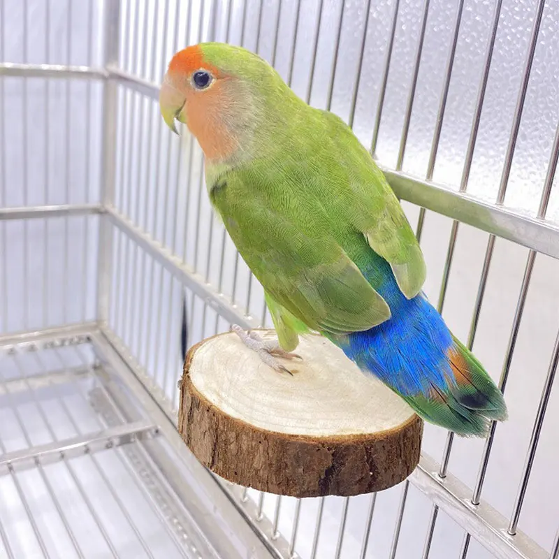 

Pet Bird Springboard Funny Bird Platform Pet Toys Pet Supplies Safe Geometric Durable Strong Round Wooden Cross-cut Pier Toys
