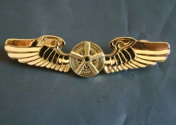 Летчики ВВС США металлический значок булавка крыло Униформа золотой