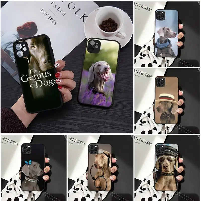 

Weimaraner dog cute animal Phone Cases Matte Transparent for iPhone 7 8 11 12 s mini pro X XS XR MAX Plus cover funda