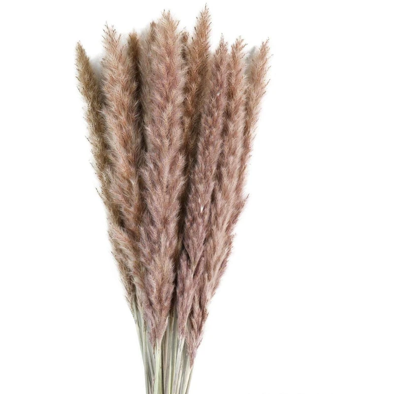 

Pampas Grass Phragmites Artificial Plants Wedding Flower Bunch for Home Decor Fake Flowers Natural Reed Dried Flower Dekoration