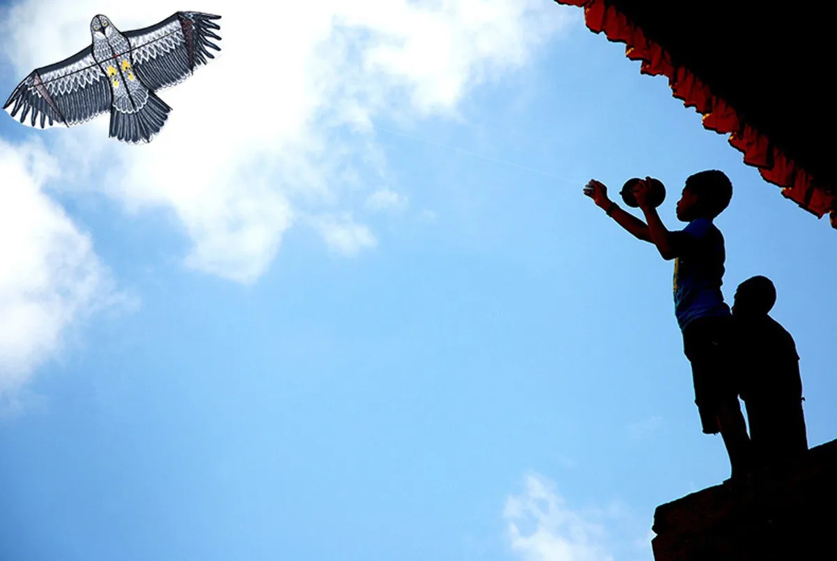 

Kite Outdoor Toys Eagle-kite Easy To Assemble-huge Beginner Eagle-kites For Kids And Adults 94in Parent-child Interactive Toys